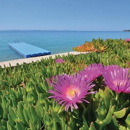 2 Bedroom Gorgeous In 公寓 *